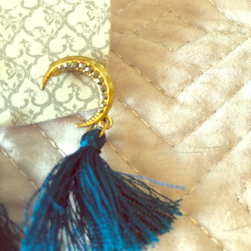 World Market Tassel Earring